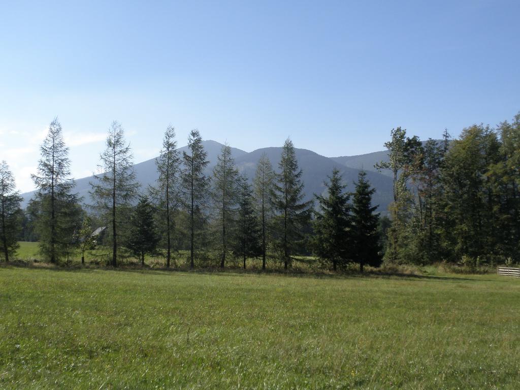 Ubytovani U Pradku Čeladná Buitenkant foto