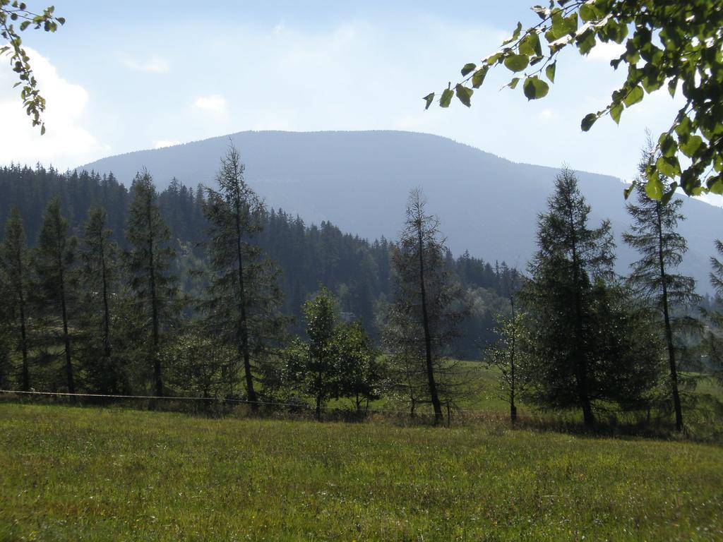Ubytovani U Pradku Čeladná Buitenkant foto